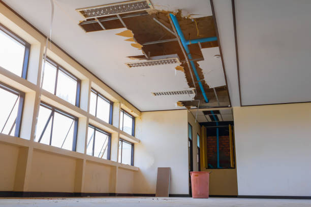 Best Sewage cleanup and water damage restoration  in Palatka, FL