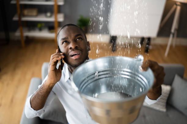 Best Carpet water damage restoration  in Palatka, FL