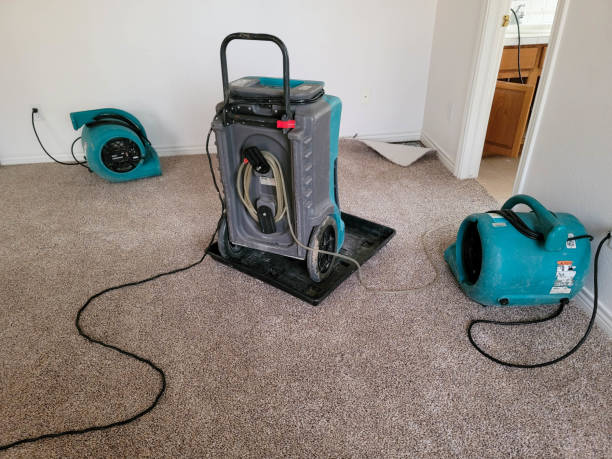Best Carpet water damage restoration  in Palatka, FL