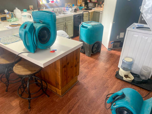 Best Residential water damage restoration  in Palatka, FL