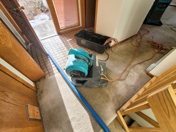 Best Sewage cleanup and water damage restoration  in Palatka, FL
