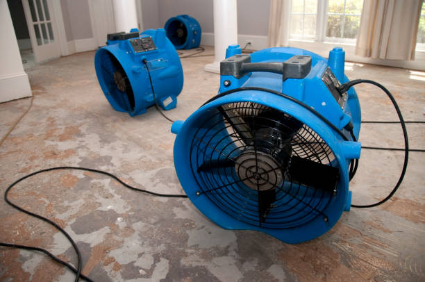 Best Water damage restoration near me  in Palatka, FL
