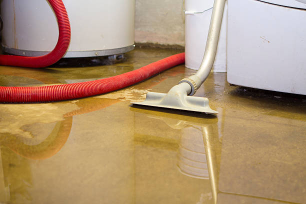 Best Ceiling water damage repair  in Palatka, FL