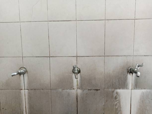 Best Water damage cleanup near me  in Palatka, FL