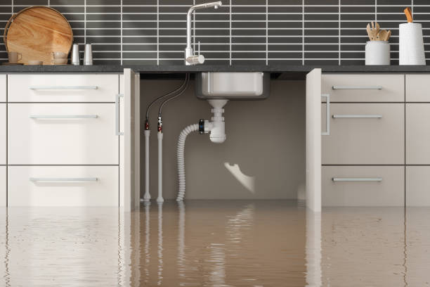 Best Emergency water extraction  in Palatka, FL