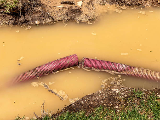Best Basement water damage restoration  in Palatka, FL