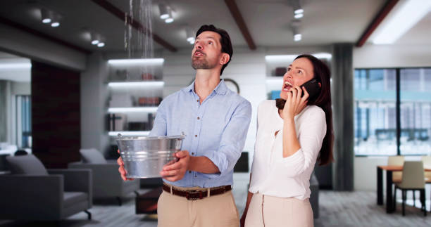 Best Water damage cleanup near me  in Palatka, FL